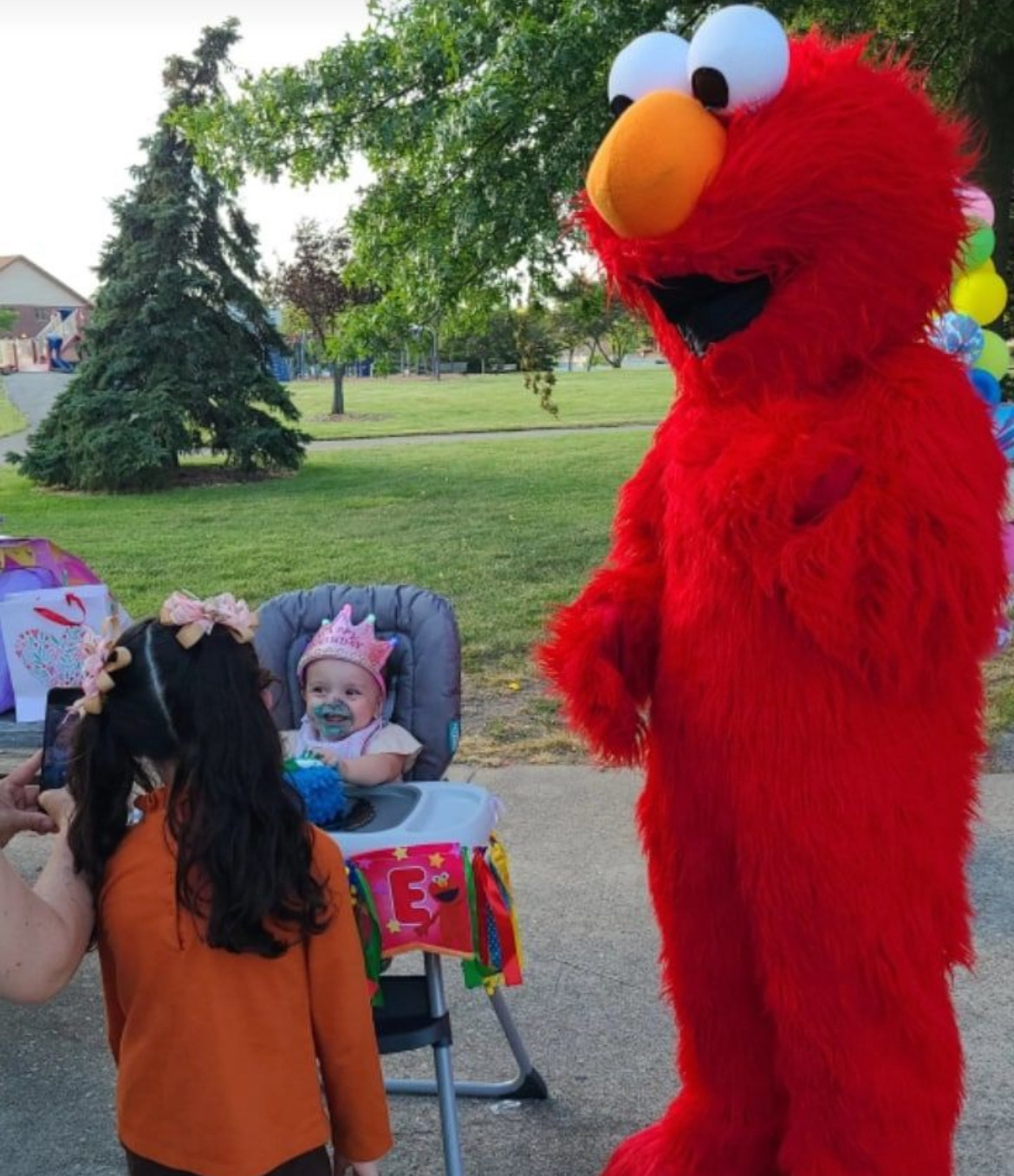 Elmo party entertainment Houston